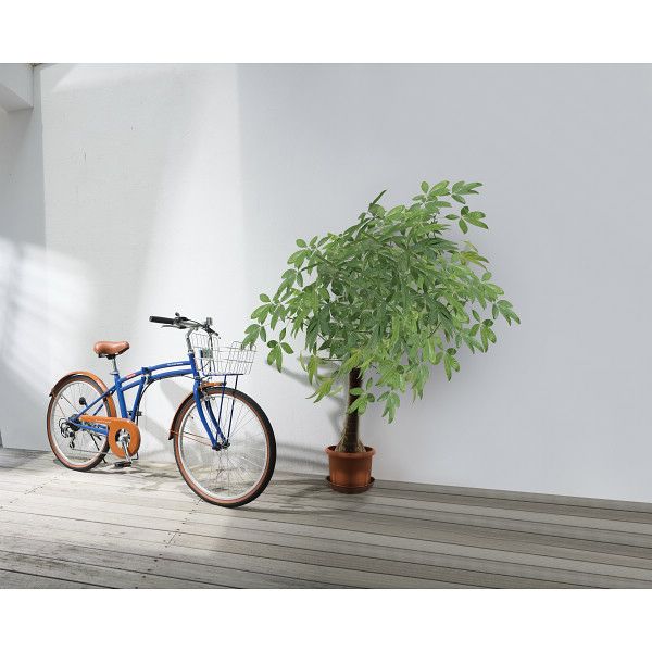 24型折畳自転車 シンプルスタイル PL246BS 2台組 | 佛教大学
